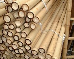 Bamboo Poles