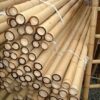 Organically Treated Bamboo Poles (75mm Diameter X 4,200mm long) - Image 2